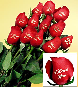 ilove you